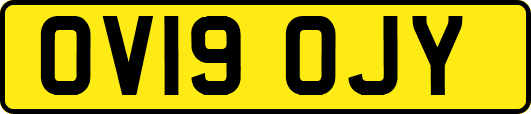 OV19OJY