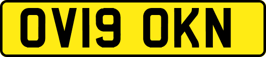 OV19OKN