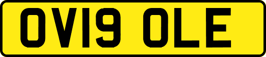 OV19OLE
