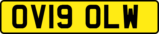 OV19OLW