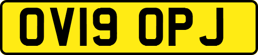 OV19OPJ