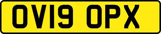 OV19OPX