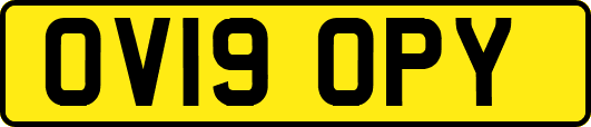 OV19OPY