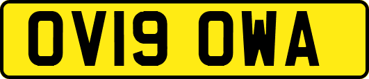 OV19OWA