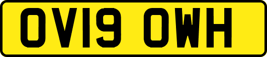 OV19OWH