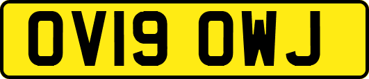 OV19OWJ