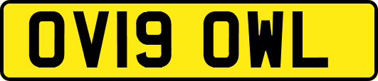 OV19OWL