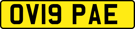 OV19PAE