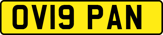 OV19PAN