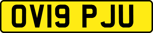 OV19PJU