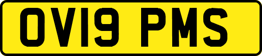 OV19PMS