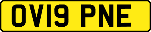 OV19PNE