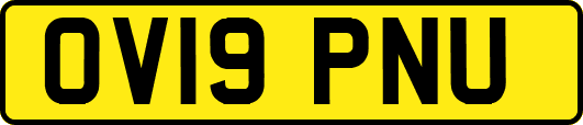 OV19PNU