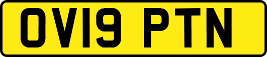 OV19PTN