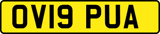 OV19PUA