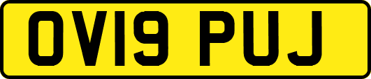 OV19PUJ