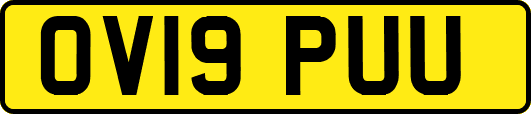 OV19PUU