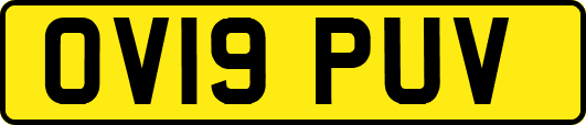 OV19PUV