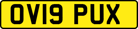 OV19PUX
