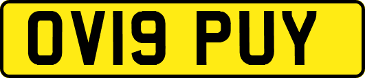 OV19PUY