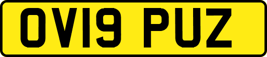 OV19PUZ