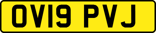OV19PVJ