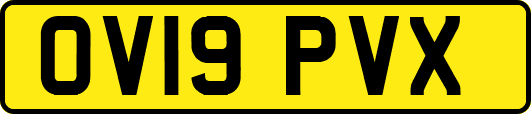 OV19PVX