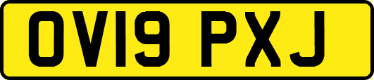 OV19PXJ