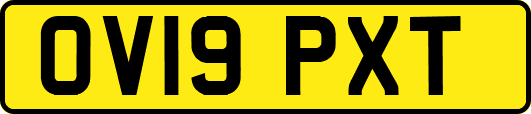 OV19PXT