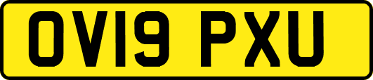 OV19PXU