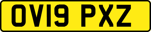OV19PXZ