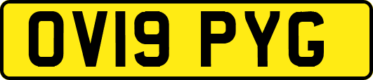 OV19PYG
