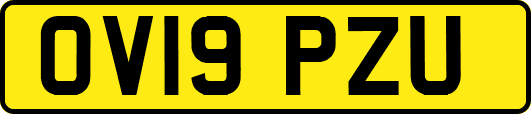 OV19PZU