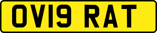 OV19RAT