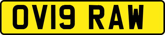 OV19RAW