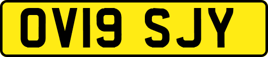 OV19SJY