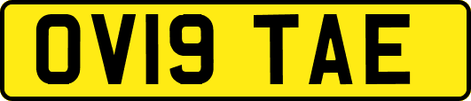 OV19TAE