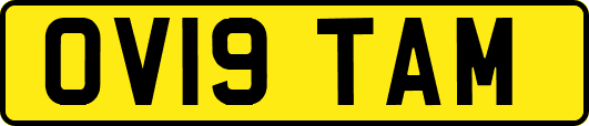 OV19TAM
