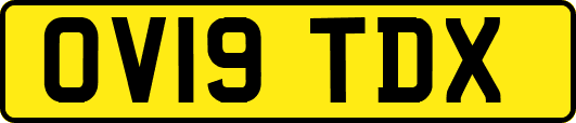 OV19TDX