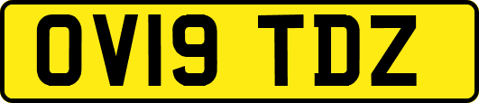 OV19TDZ