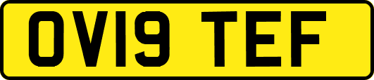 OV19TEF