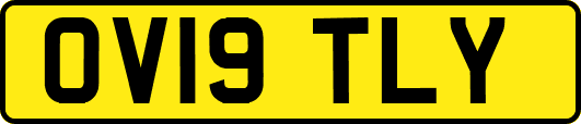 OV19TLY