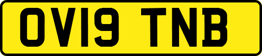 OV19TNB