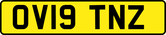 OV19TNZ