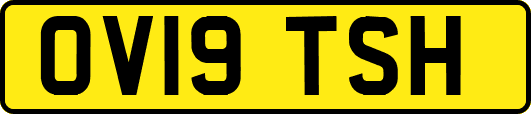 OV19TSH