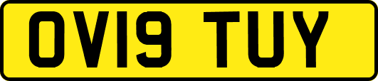 OV19TUY