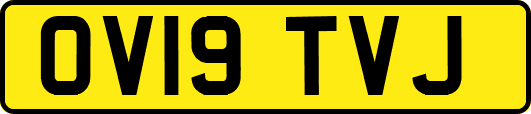 OV19TVJ