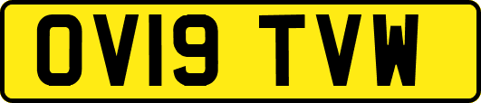 OV19TVW