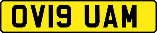 OV19UAM