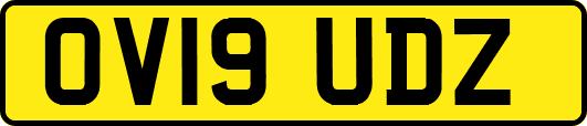 OV19UDZ